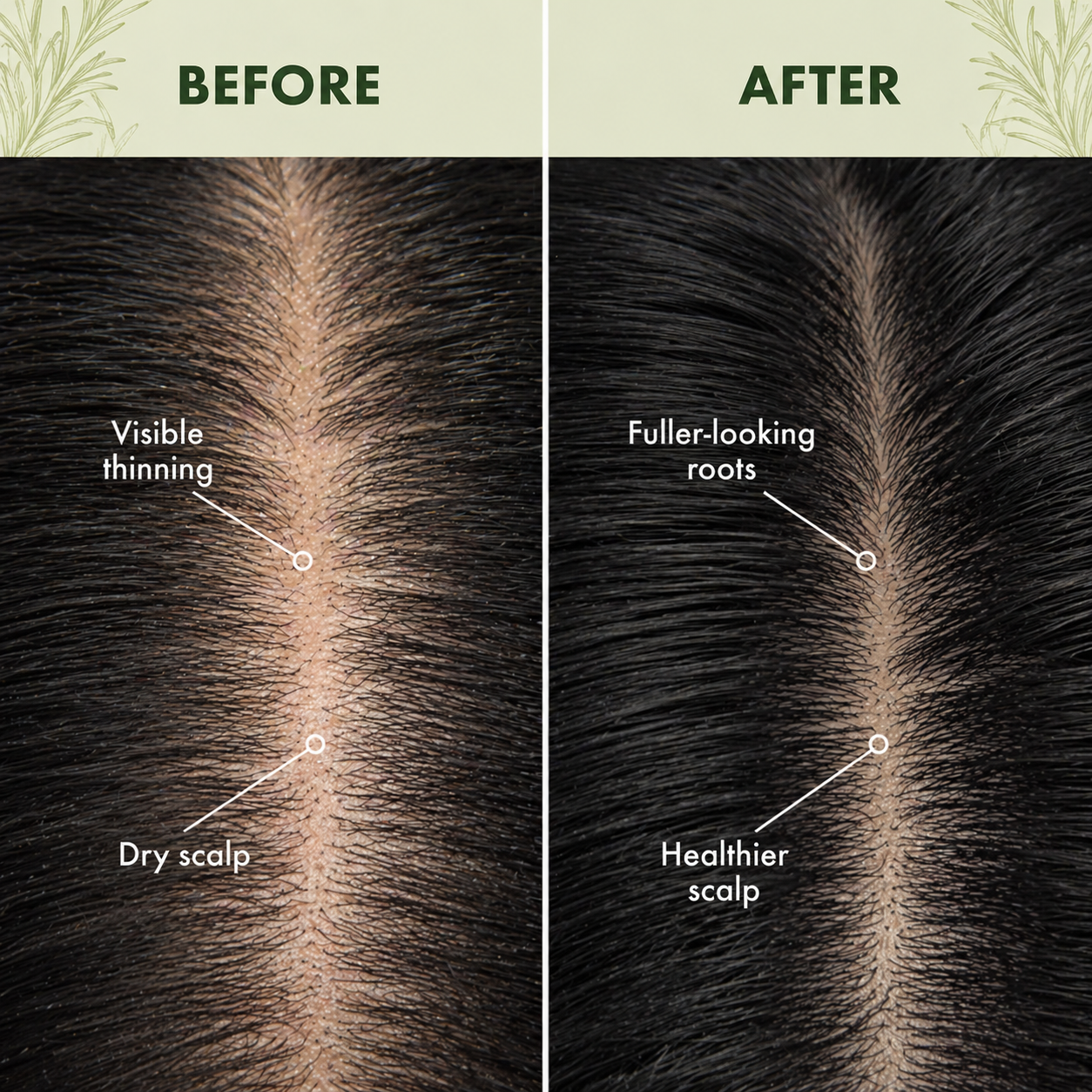 Organic Rosemary Oil | Natural Hair Growth Solution