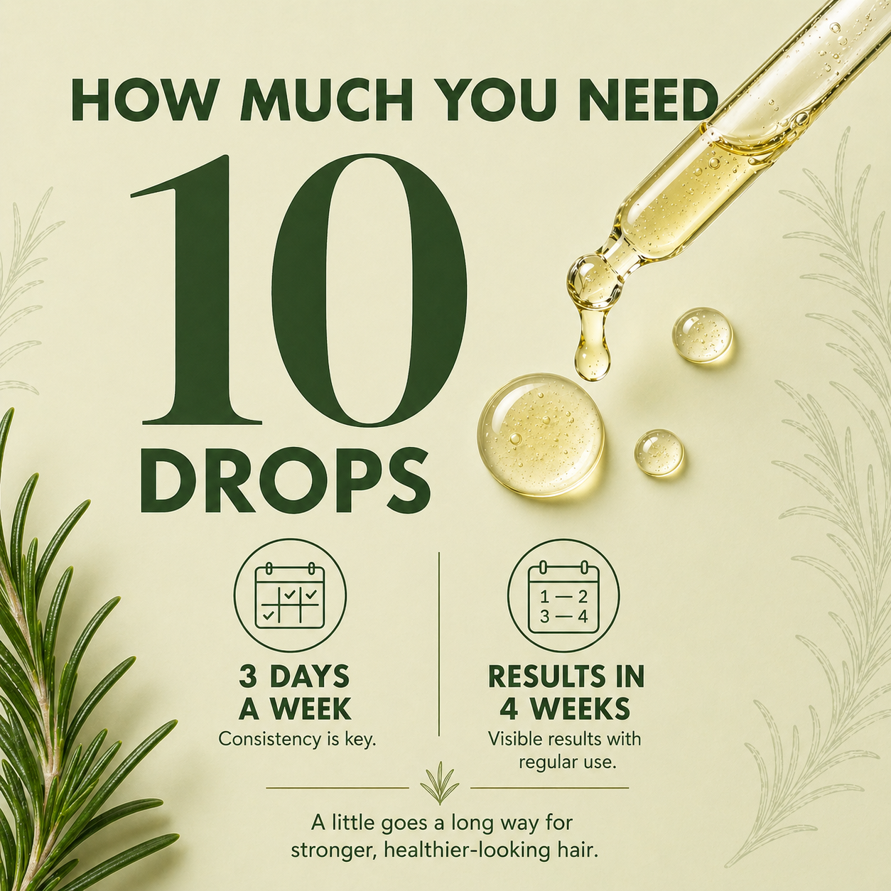 Hair Rescue Bundle | Rosemary, Biotin, Pumpkin